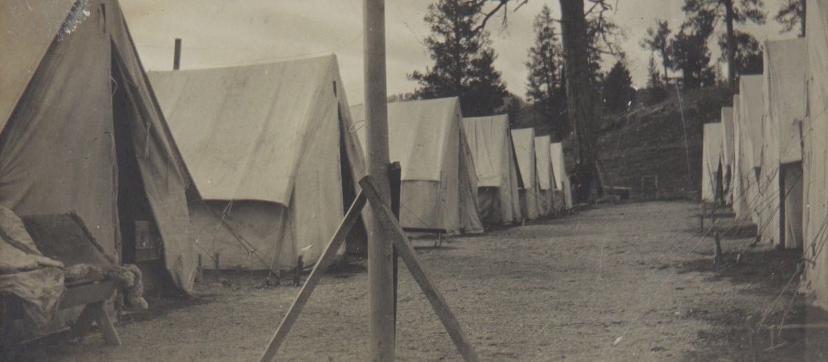 Row of canvas tents among pines